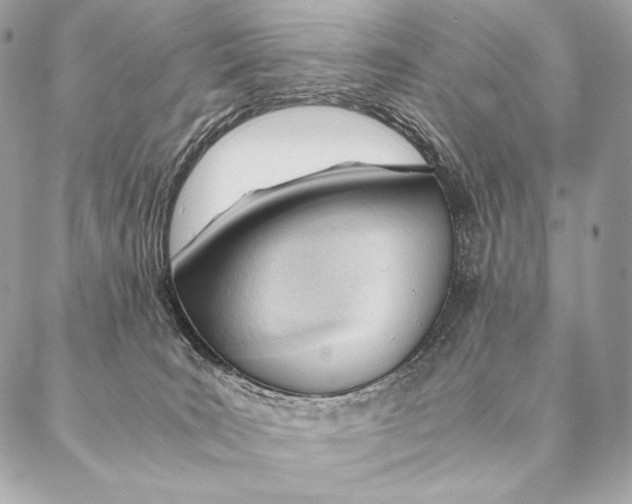 X0000087390035200705111812