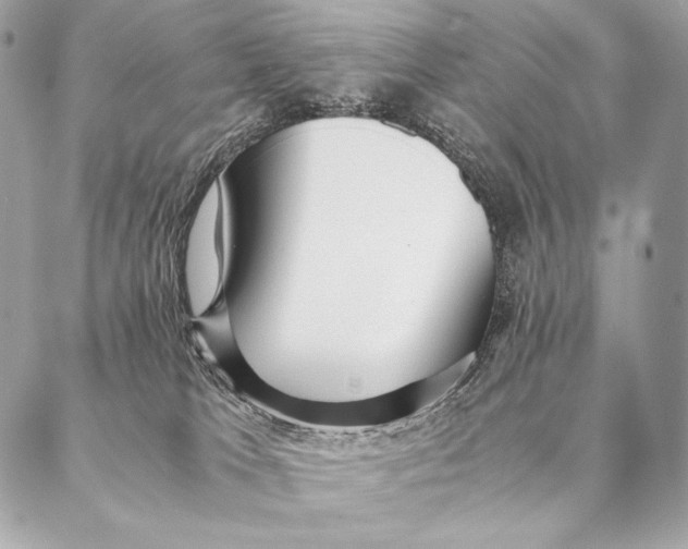 X0000087390037200705111812