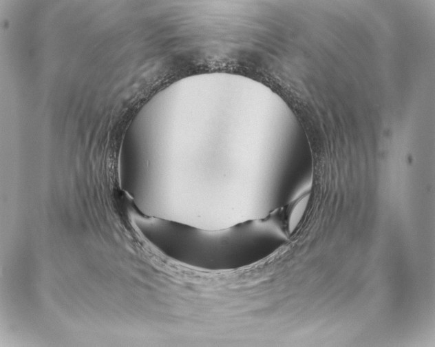 X0000087390039200705111812