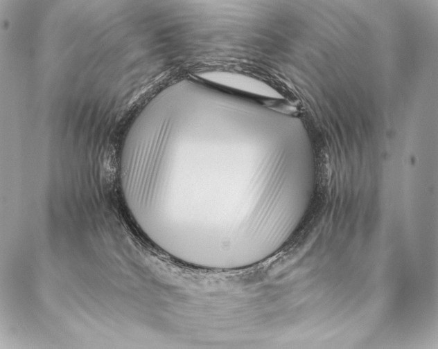 X0000087390040200705111812