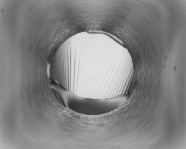 X0000087390041200705111812