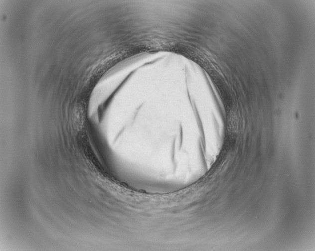 X0000087390043200705111811