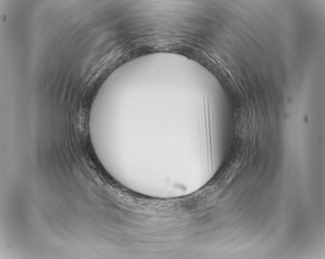 X0000087390044200705111811