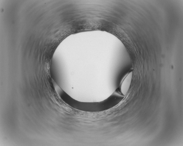 X0000087390045200705111811