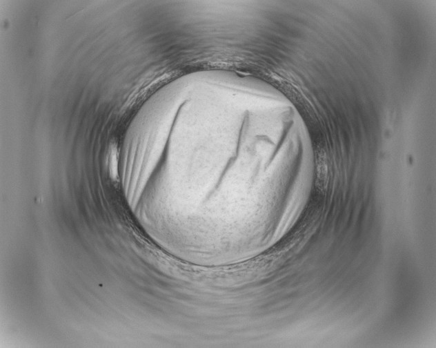 X0000087390046200705111811