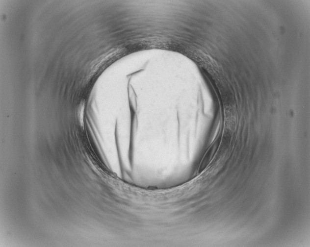 X0000087390047200705111811