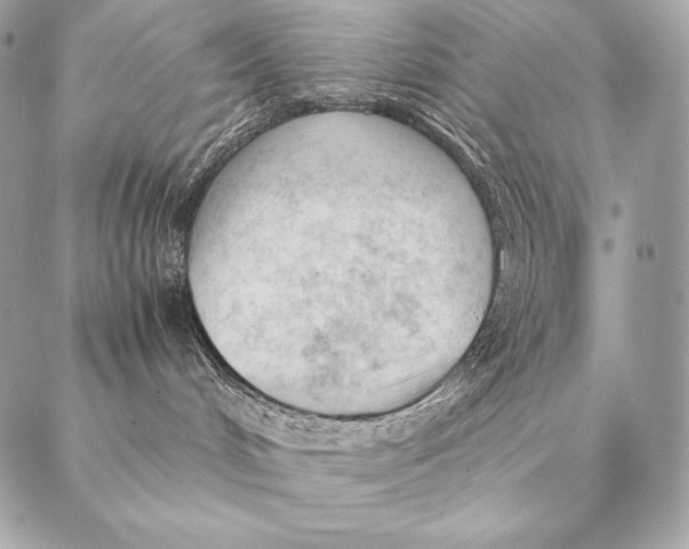 X0000087390048200705111811