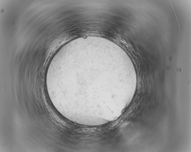 X0000087390049200705111811