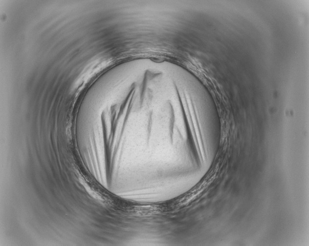 X0000087390050200705111811