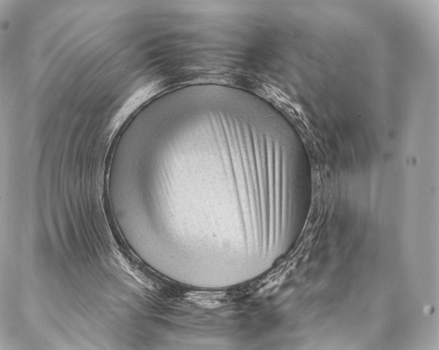 X0000087390051200705111811