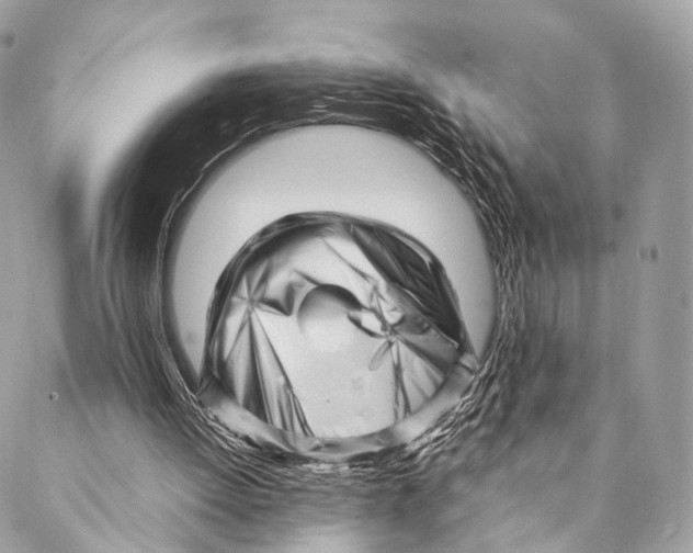 X0000087390052200705111811