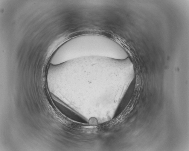 X0000087390053200705111811