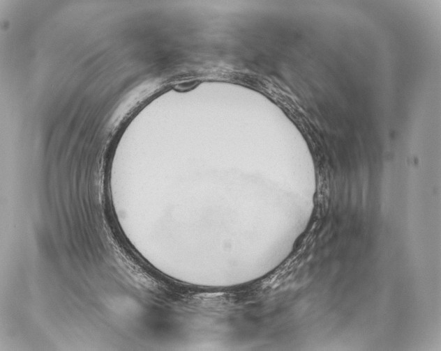 X0000087390054200705111811