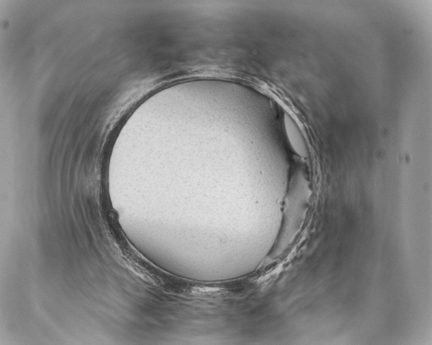 X0000087390055200705111811