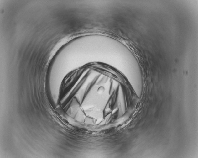 X0000087390056200705111811