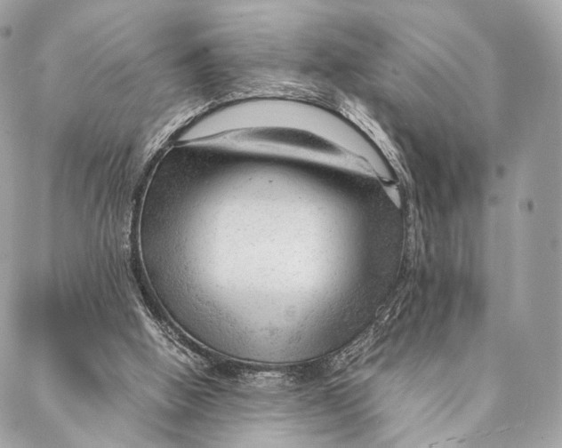 X0000087390058200705111811