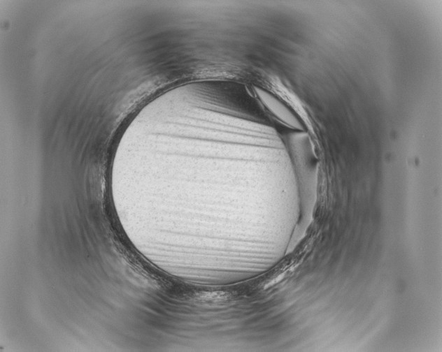 X0000087390059200705111811