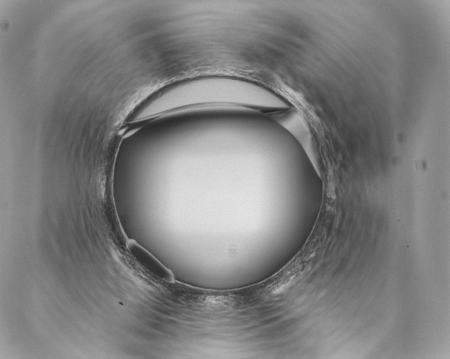 X0000087390060200705111811