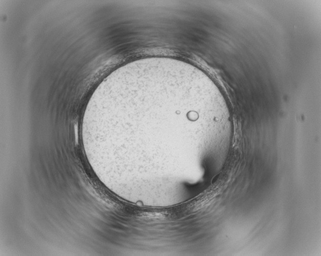 X0000087390061200705111811