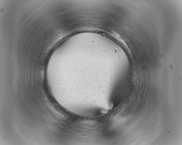 X0000087390063200705111811