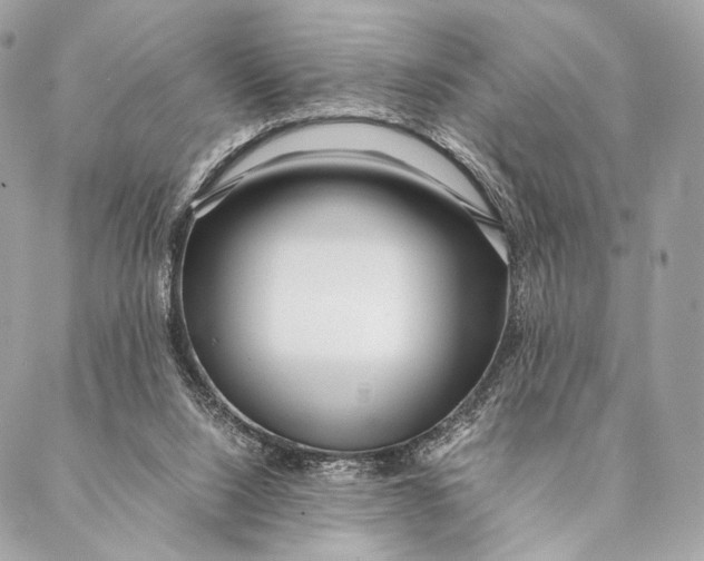 X0000087390064200705111811