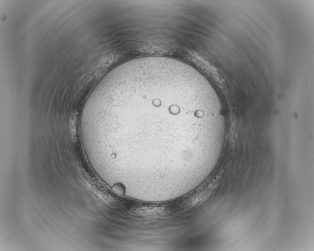 X0000087390065200705111811