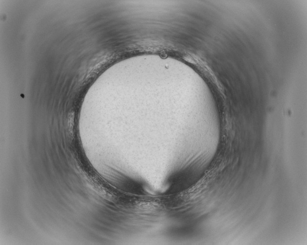 X0000087390066200705111811