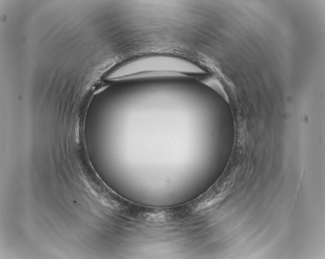 X0000087390068200705111811