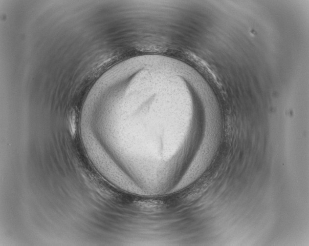 X0000087390069200705111811