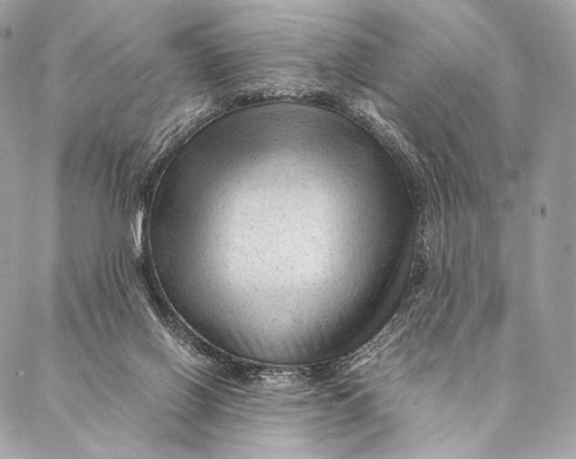 X0000087390070200705111811