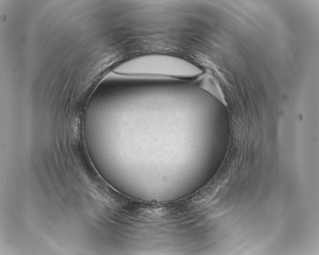 X0000087390071200705111811