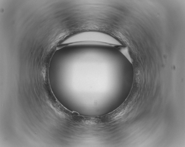 X0000087390072200705111811