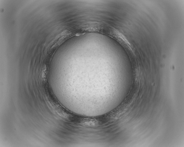 X0000087390073200705111811