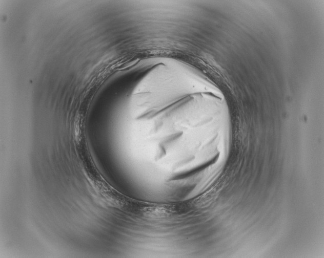 X0000087390074200705111811