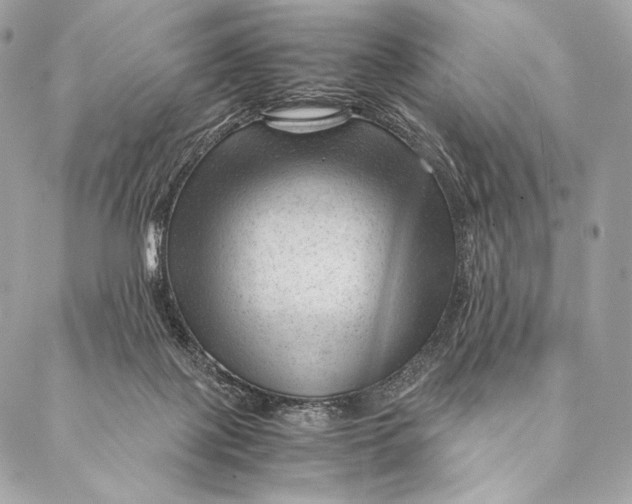 X0000087390075200705111811