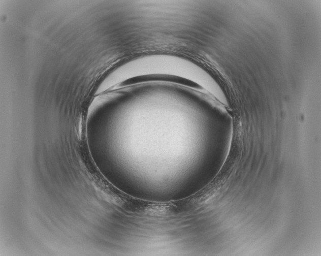 X0000087390076200705111811