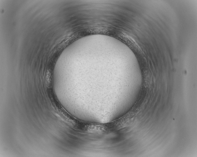 X0000087390077200705111811