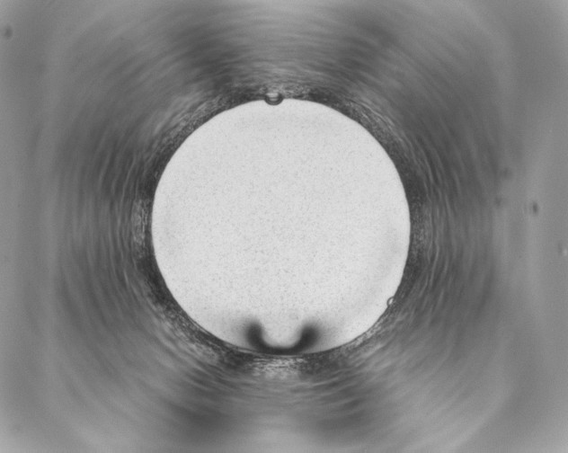 X0000087390078200705111811