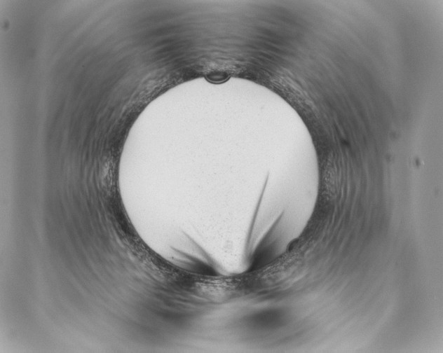 X0000087390079200705111811