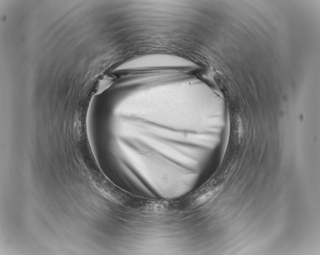 X0000087390080200705111811