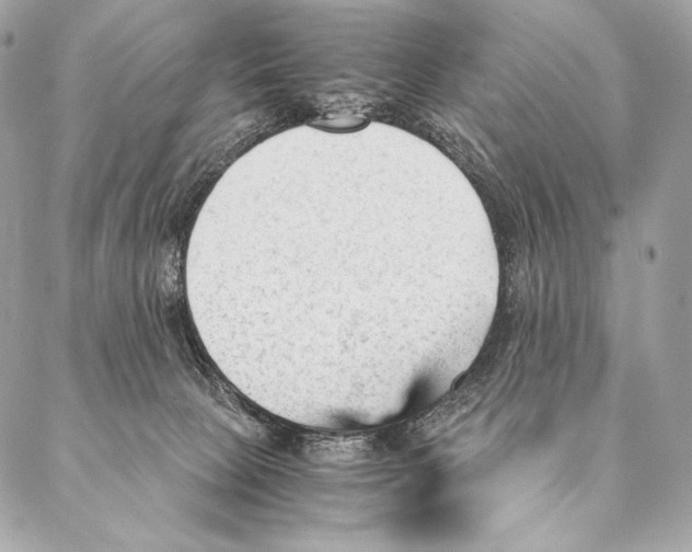 X0000087390081200705111811