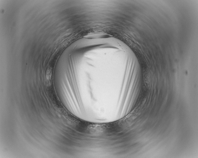 X0000087390082200705111811