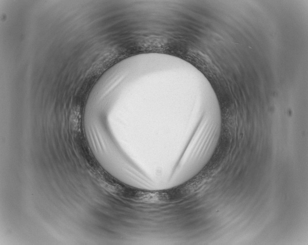 X0000087390083200705111811