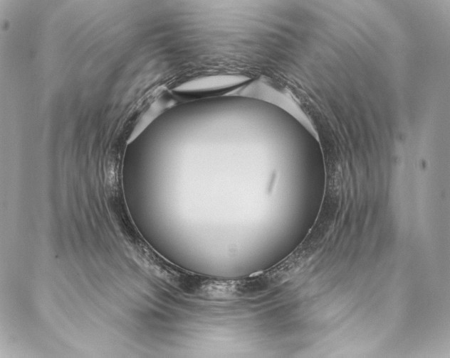 X0000087390084200705111811