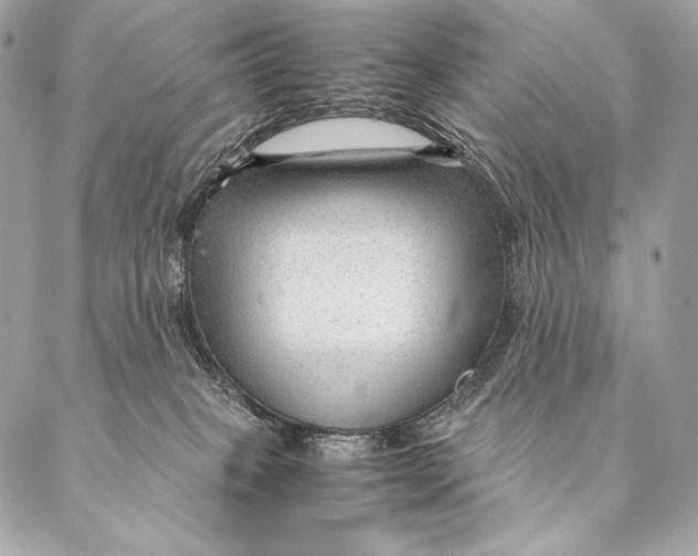 X0000087390085200705111811