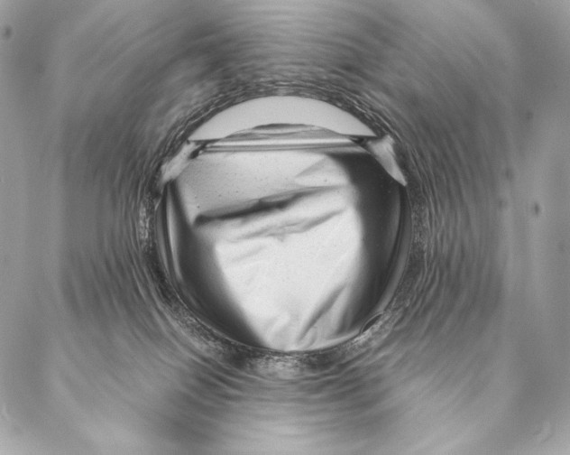 X0000087390086200705111811