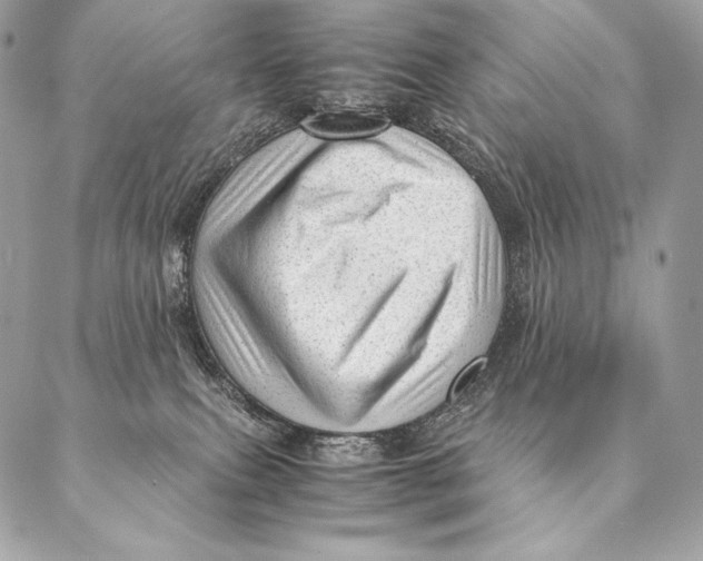 X0000087390087200705111811