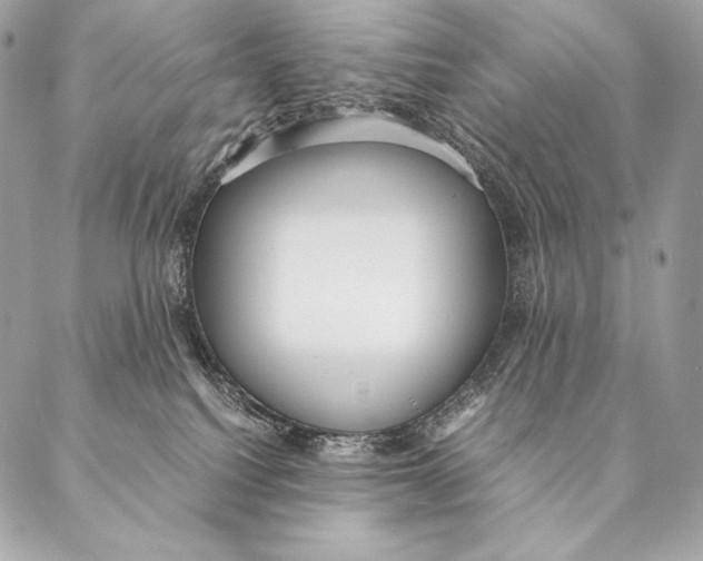 X0000087390088200705111811