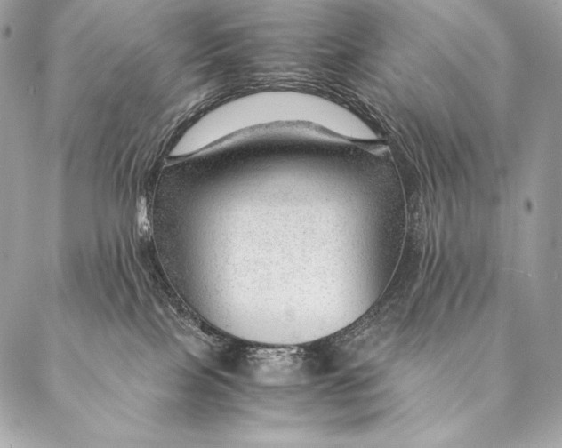 X0000087390089200705111811