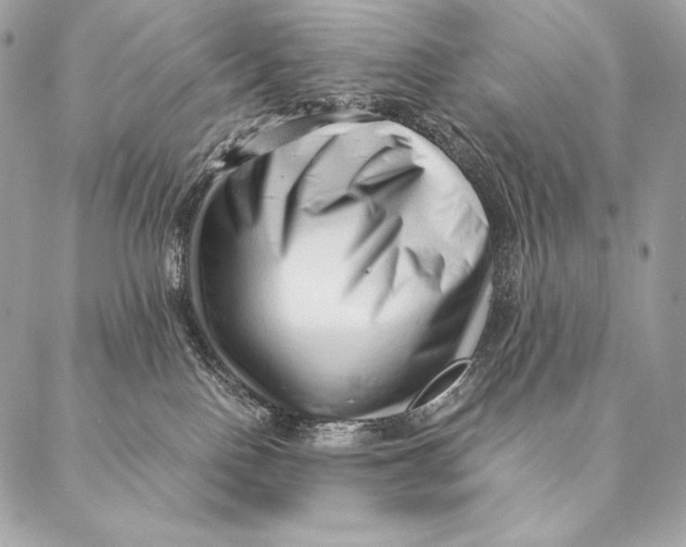 X0000087390090200705111811